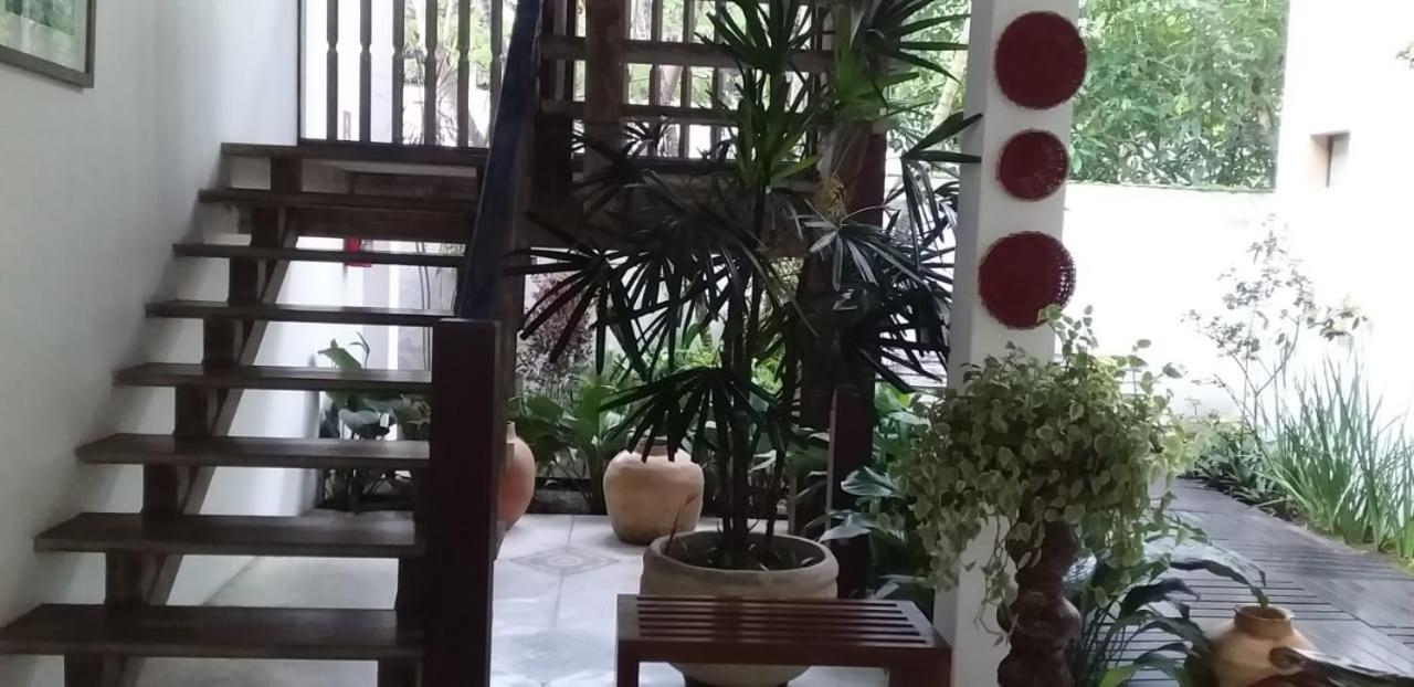 Pouso Frutos De Paraty Hotel Ngoại thất bức ảnh